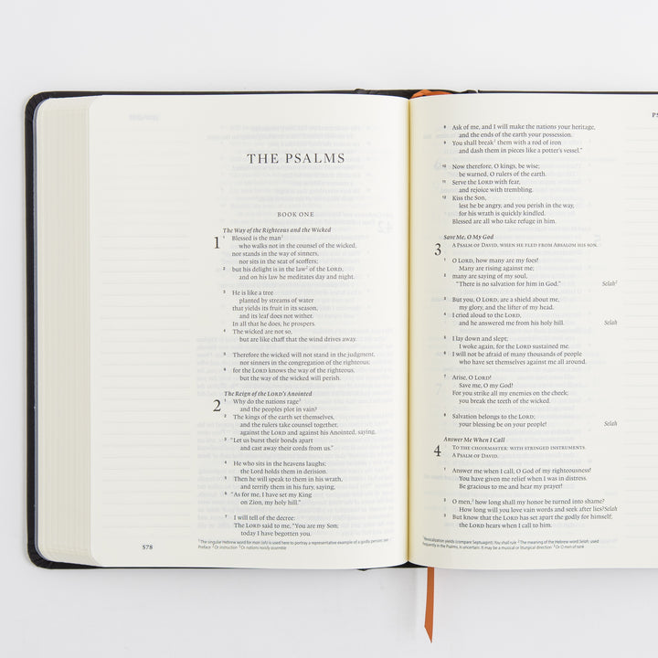 ESV Single Column Journaling Bible, Artist Series - Hardcover, Joshua Noom, The Lion and the Lamb
