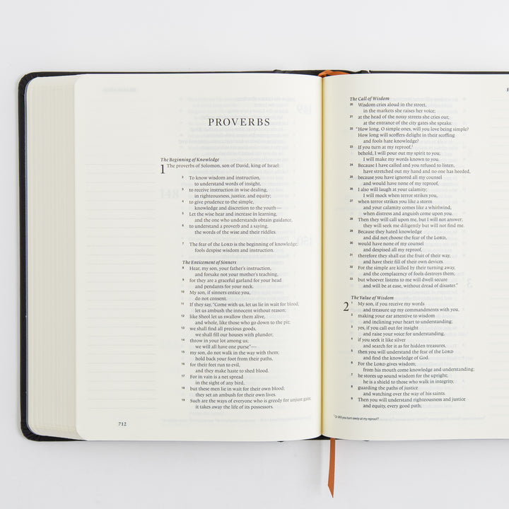 ESV Single Column Journaling Bible, Artist Series - Hardcover, Joshua Noom, The Lion and the Lamb