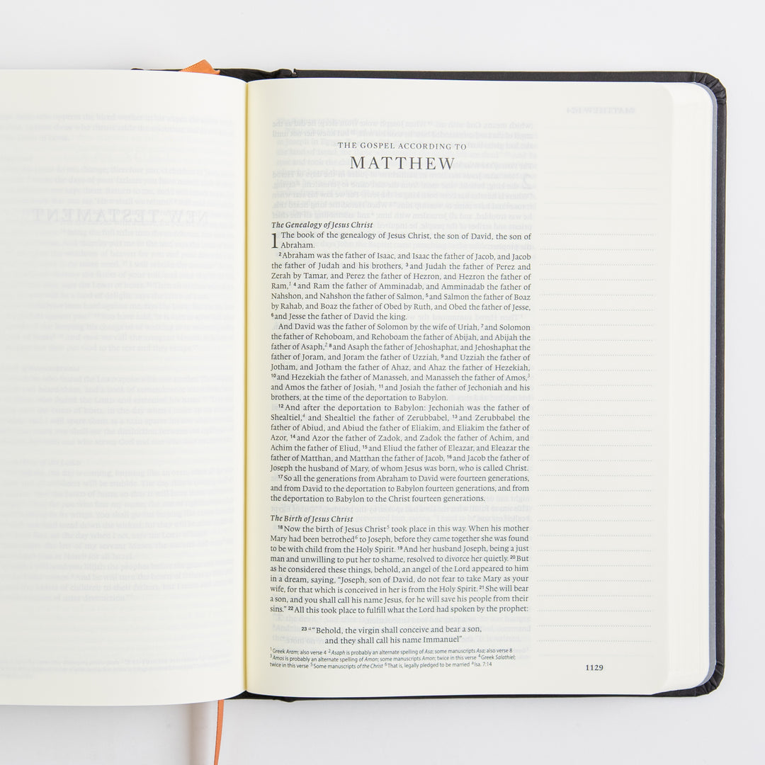 ESV Single Column Journaling Bible, Artist Series - Hardcover, Joshua Noom, The Lion and the Lamb
