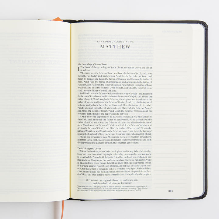 ESV Single Column Journaling Bible, Artist Series - Hardcover, Joshua Noom, The Lion and the Lamb