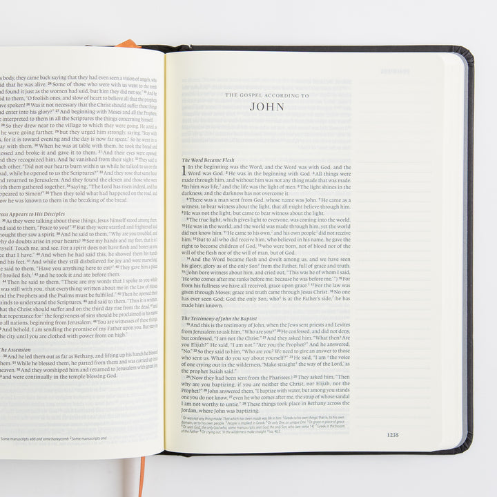 ESV Single Column Journaling Bible, Artist Series - Hardcover, Joshua Noom, The Lion and the Lamb