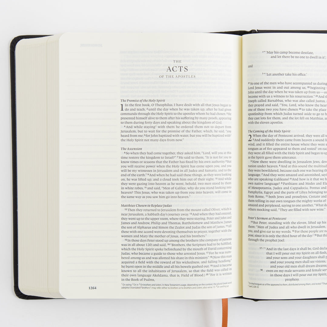 ESV Single Column Journaling Bible, Artist Series - Hardcover, Joshua Noom, The Lion and the Lamb