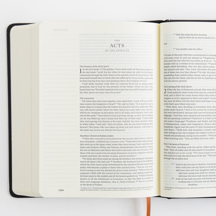 ESV Single Column Journaling Bible, Artist Series - Hardcover, Joshua Noom, The Lion and the Lamb