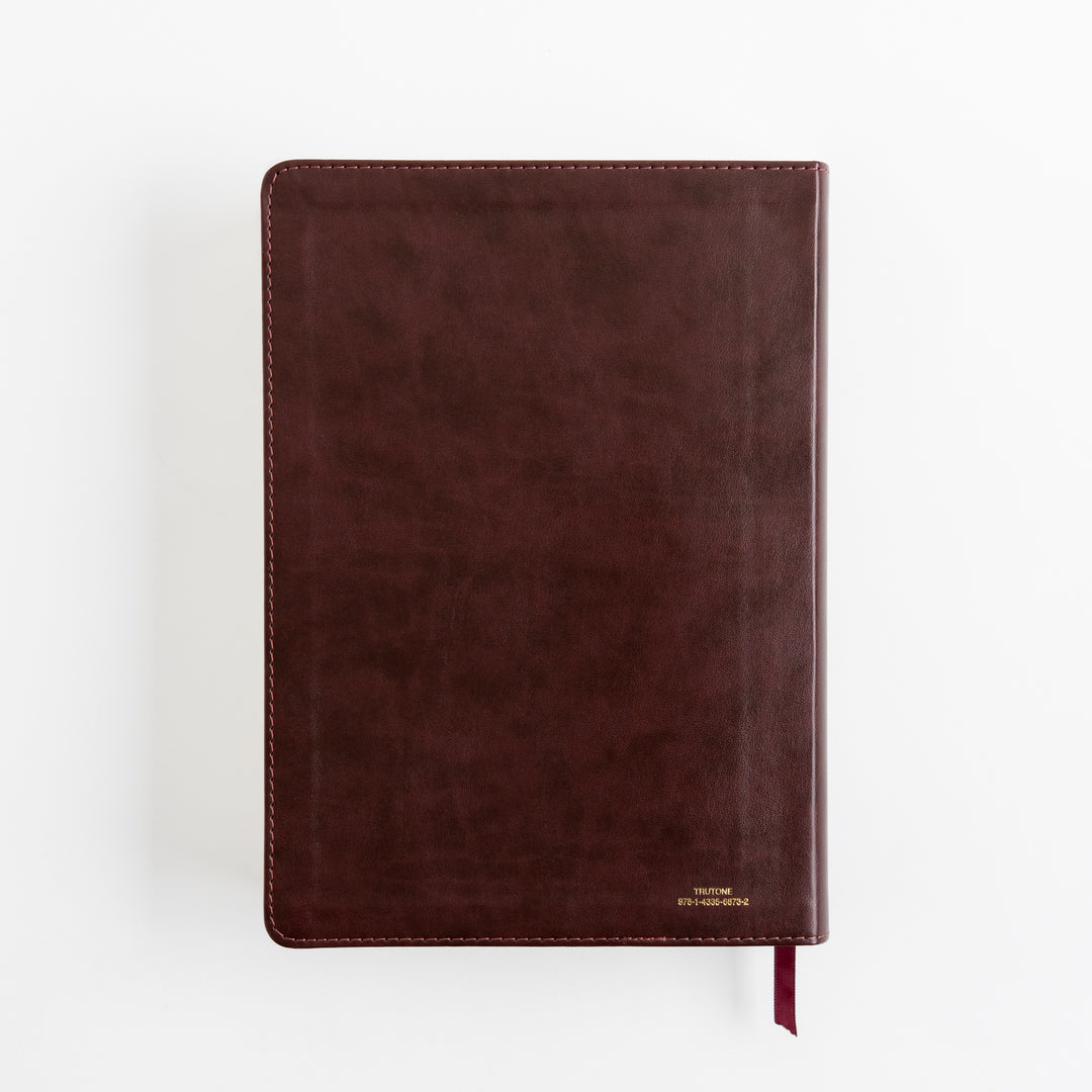 ESV Single Column Journaling Bible, Large Print - TruTone, Burgundy/Red