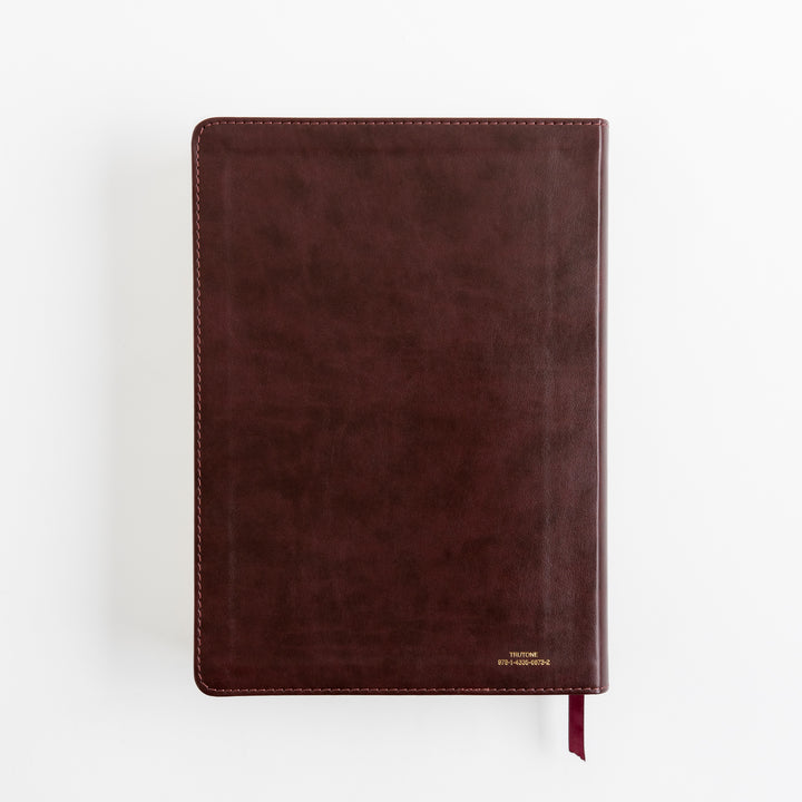 ESV Single Column Journaling Bible, Large Print - TruTone, Burgundy/Red