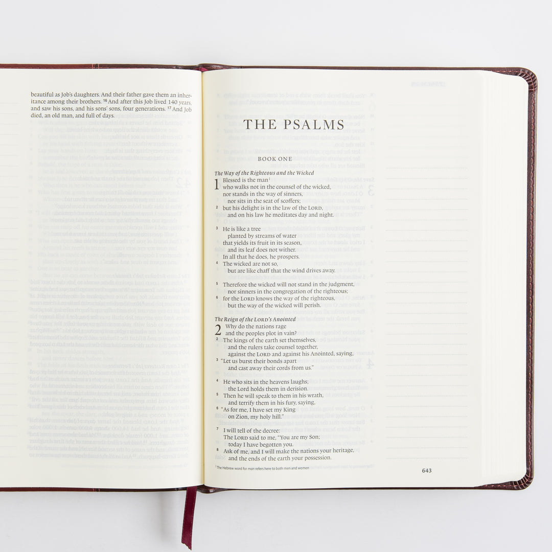 ESV Single Column Journaling Bible, Large Print - TruTone, Burgundy/Red