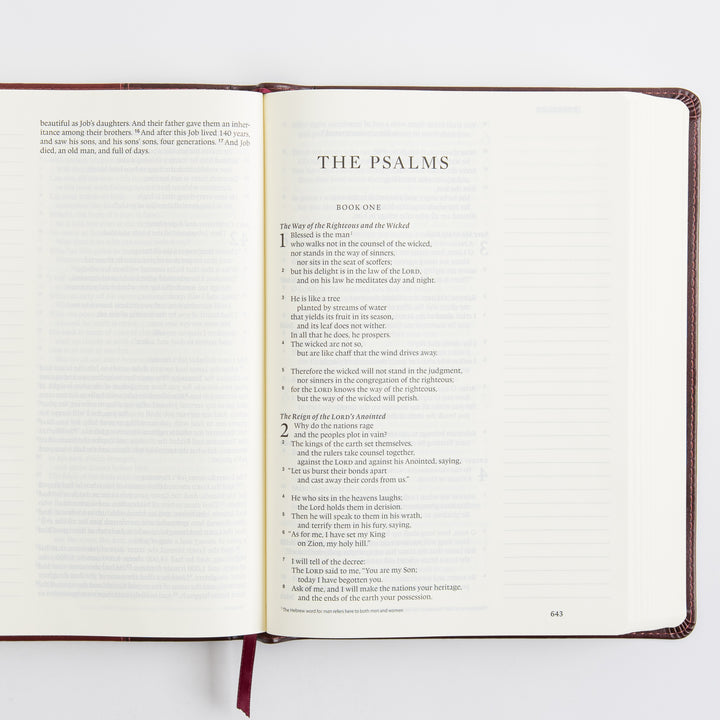 ESV Single Column Journaling Bible, Large Print - TruTone, Burgundy/Red