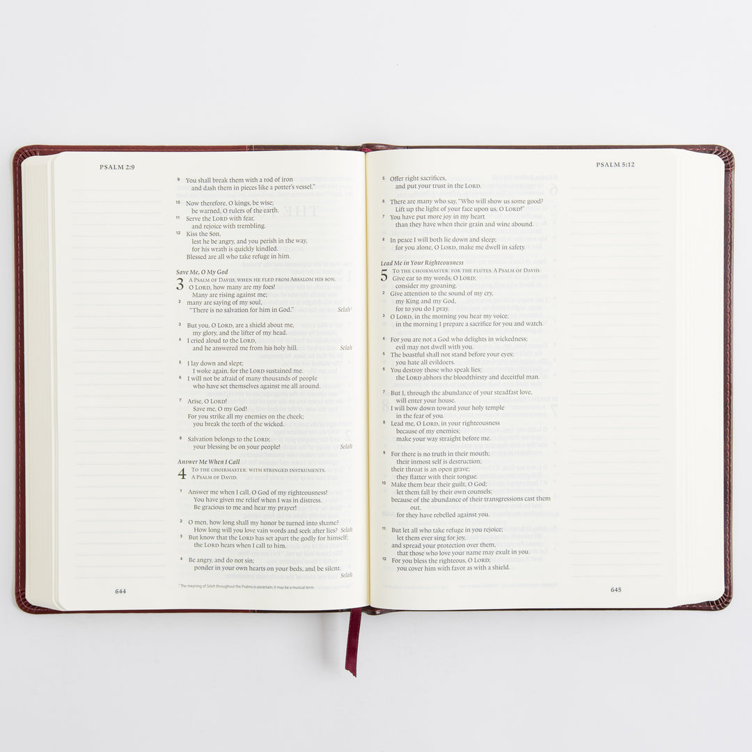 ESV Single Column Journaling Bible, Large Print - TruTone, Burgundy/Red