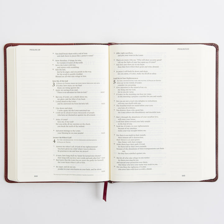 ESV Single Column Journaling Bible, Large Print - TruTone, Burgundy/Red