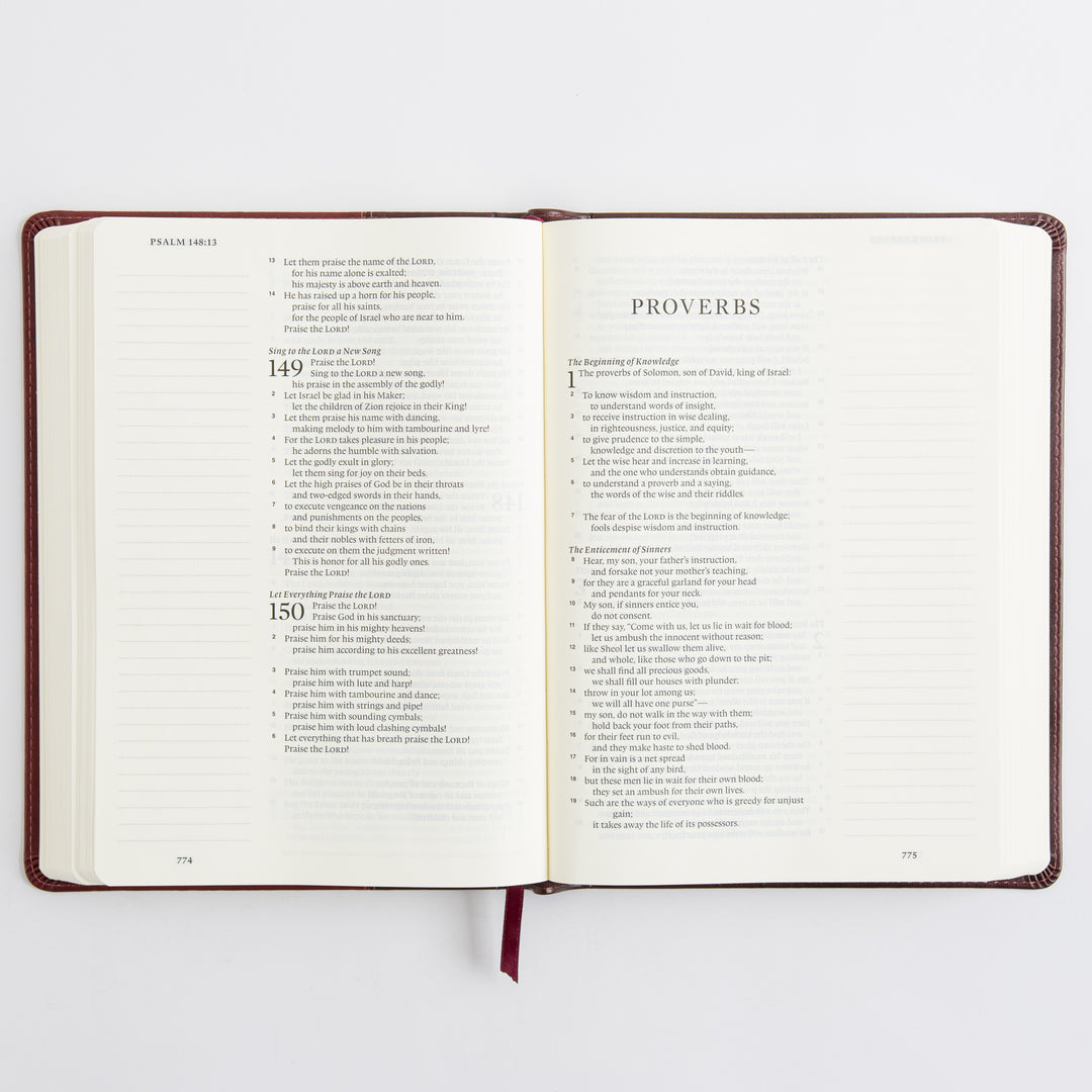 ESV Single Column Journaling Bible, Large Print - TruTone, Burgundy/Red