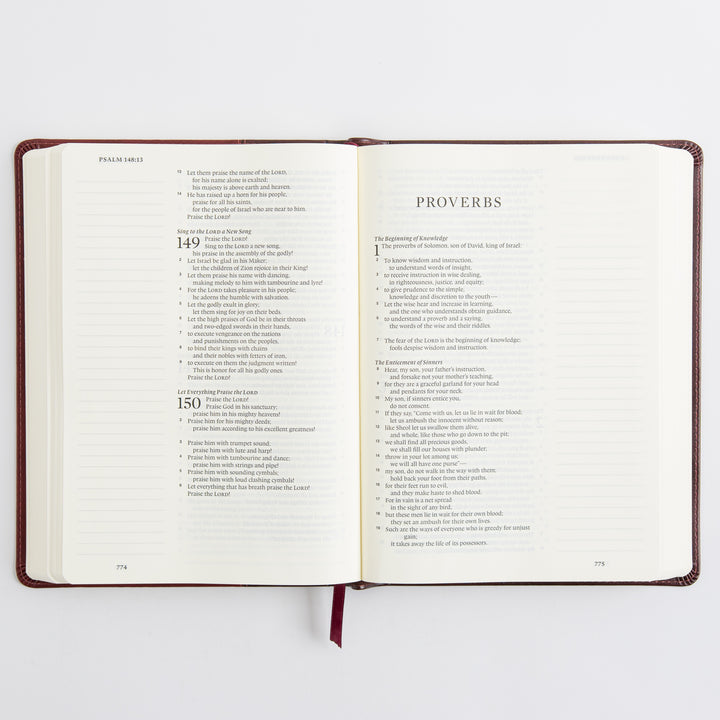 ESV Single Column Journaling Bible, Large Print - TruTone, Burgundy/Red