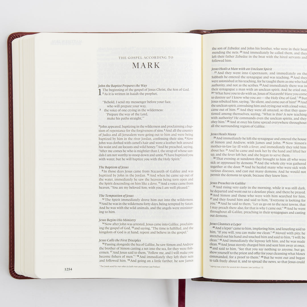 ESV Single Column Journaling Bible, Large Print - TruTone, Burgundy/Red