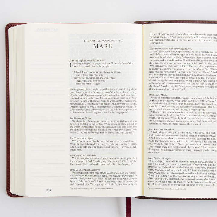 ESV Single Column Journaling Bible, Large Print - TruTone, Burgundy/Red