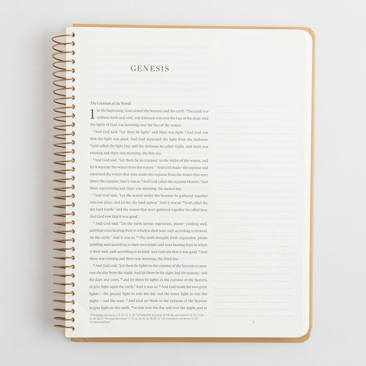 ESV Spiral-Bound Journaling Bible, Pentateuch - Hardcover