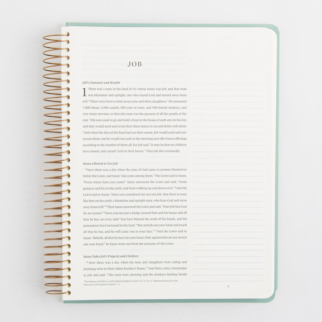 ESV Spiral-Bound Journaling Bible, Poetry - Hardcover