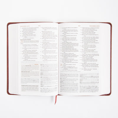 ESV Student Study Bible - Trutone - Chestnut