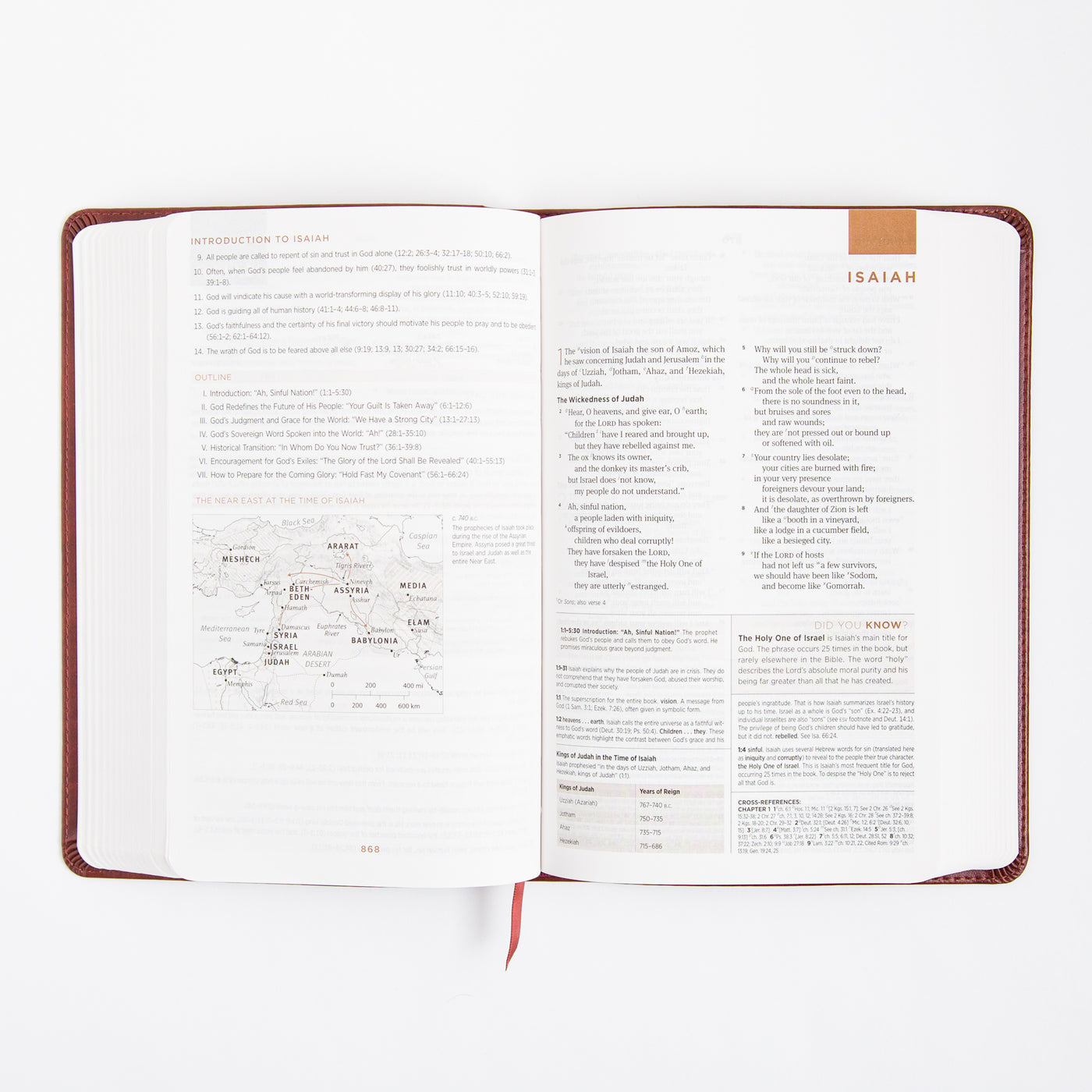 ESV Student Study Bible - Trutone - Chestnut