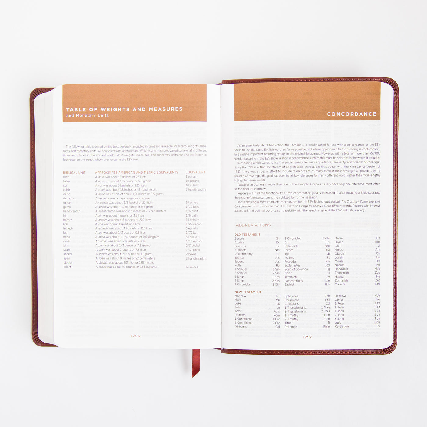 ESV Student Study Bible - Trutone - Chestnut