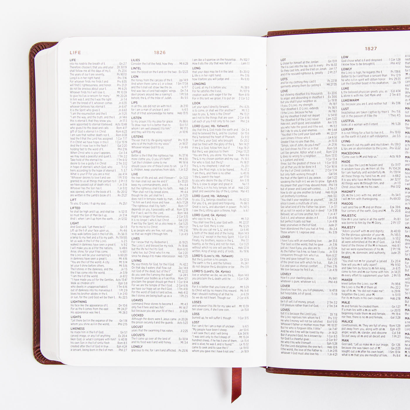 ESV Student Study Bible - Trutone - Chestnut