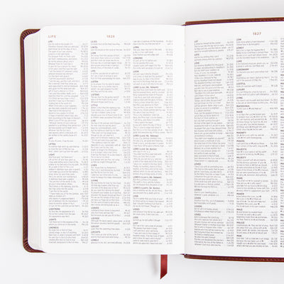 ESV Student Study Bible - Trutone - Chestnut