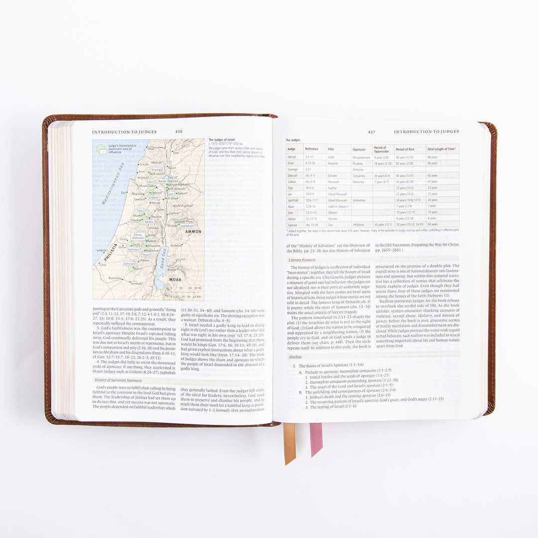 ESV Study Bible - Leather Like - Aurora Theme