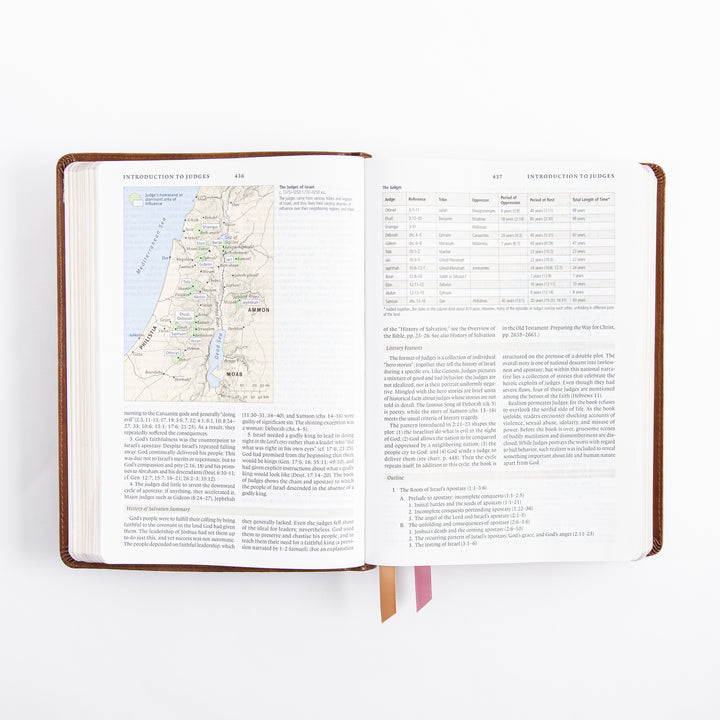 ESV Study Bible - Leather Like - Aurora Theme