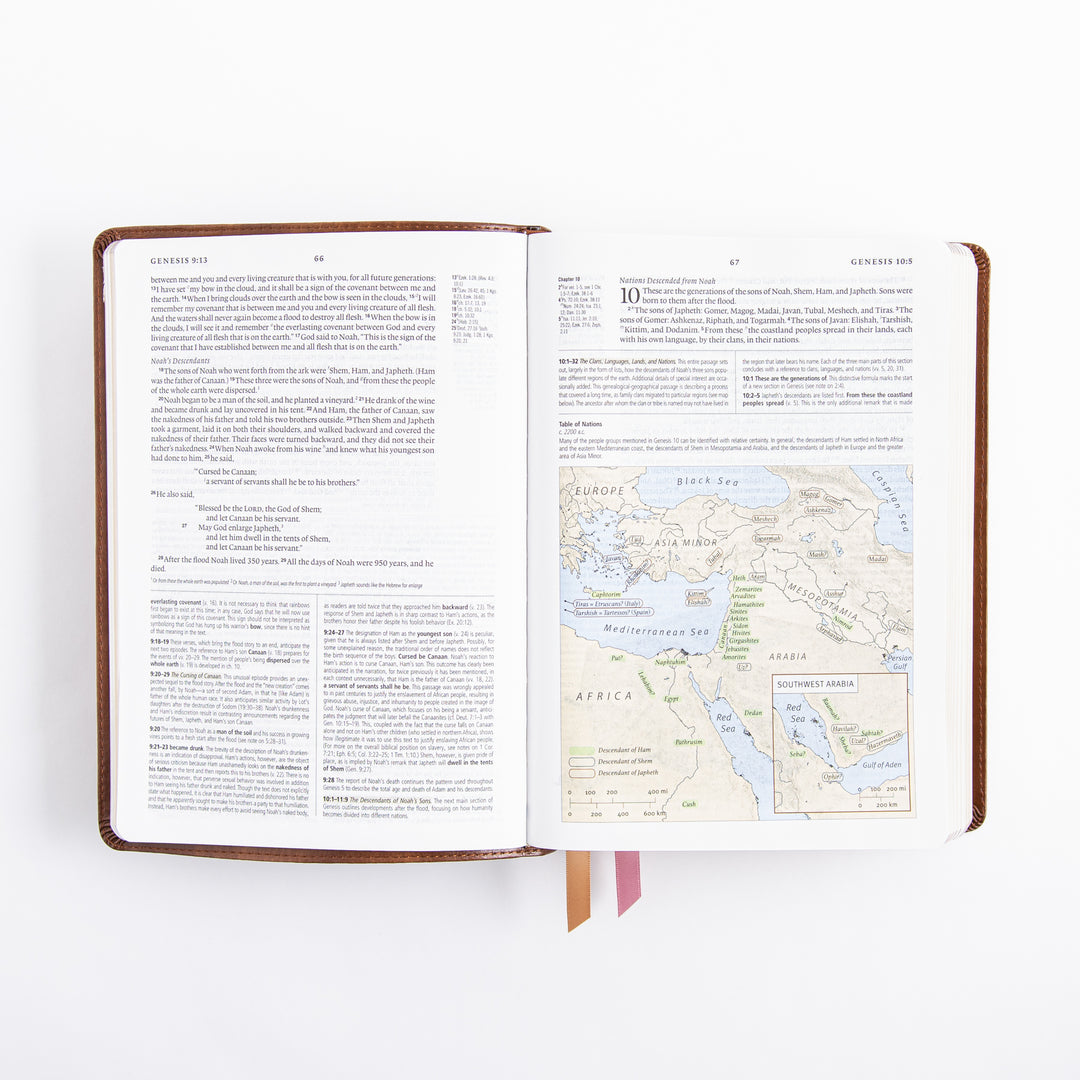 ESV Study Bible - Leather Like - Aurora Theme