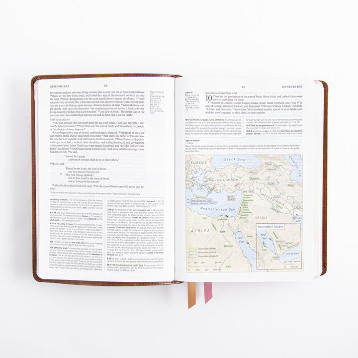 ESV Study Bible - Leather Like - Aurora Theme