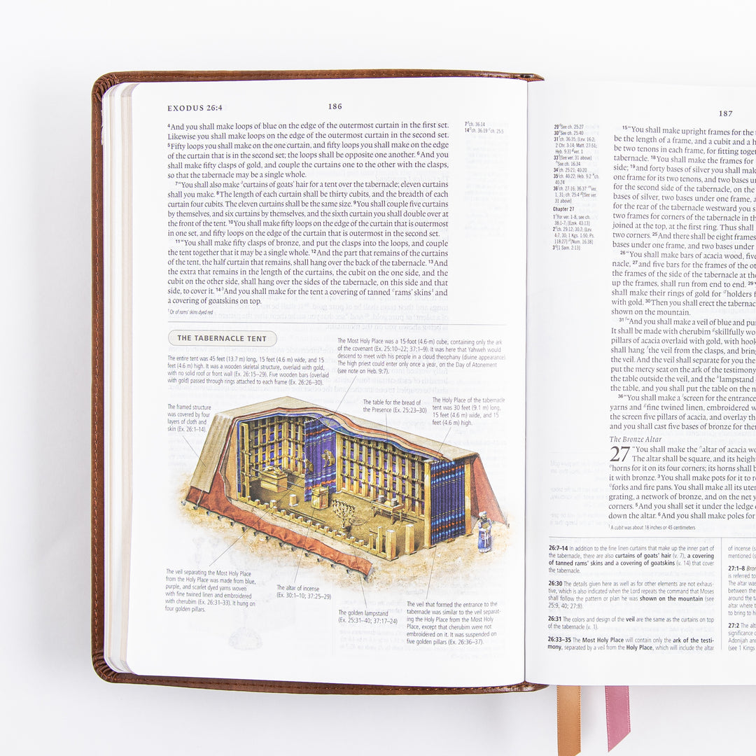ESV Study Bible - Leather Like - Aurora Theme