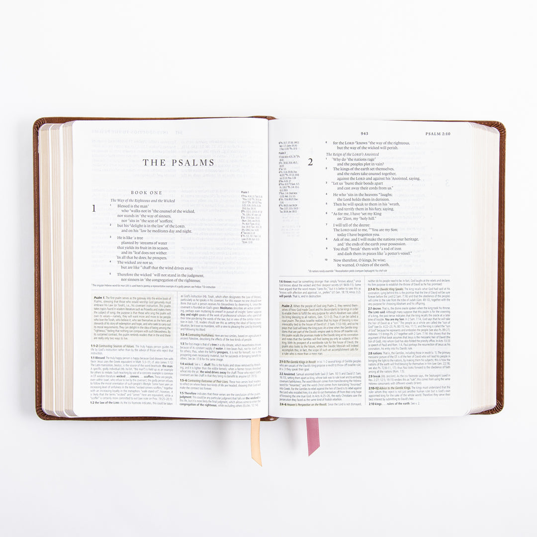 ESV Study Bible - Leather Like - Aurora Theme