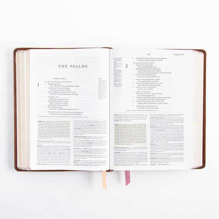 ESV Study Bible - Leather Like - Aurora Theme