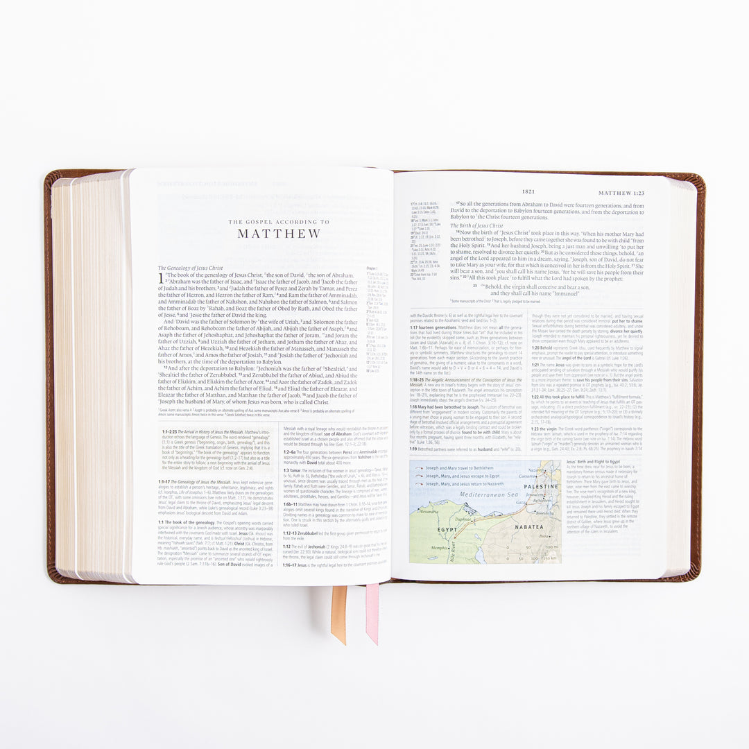 ESV Study Bible - Leather Like - Aurora Theme