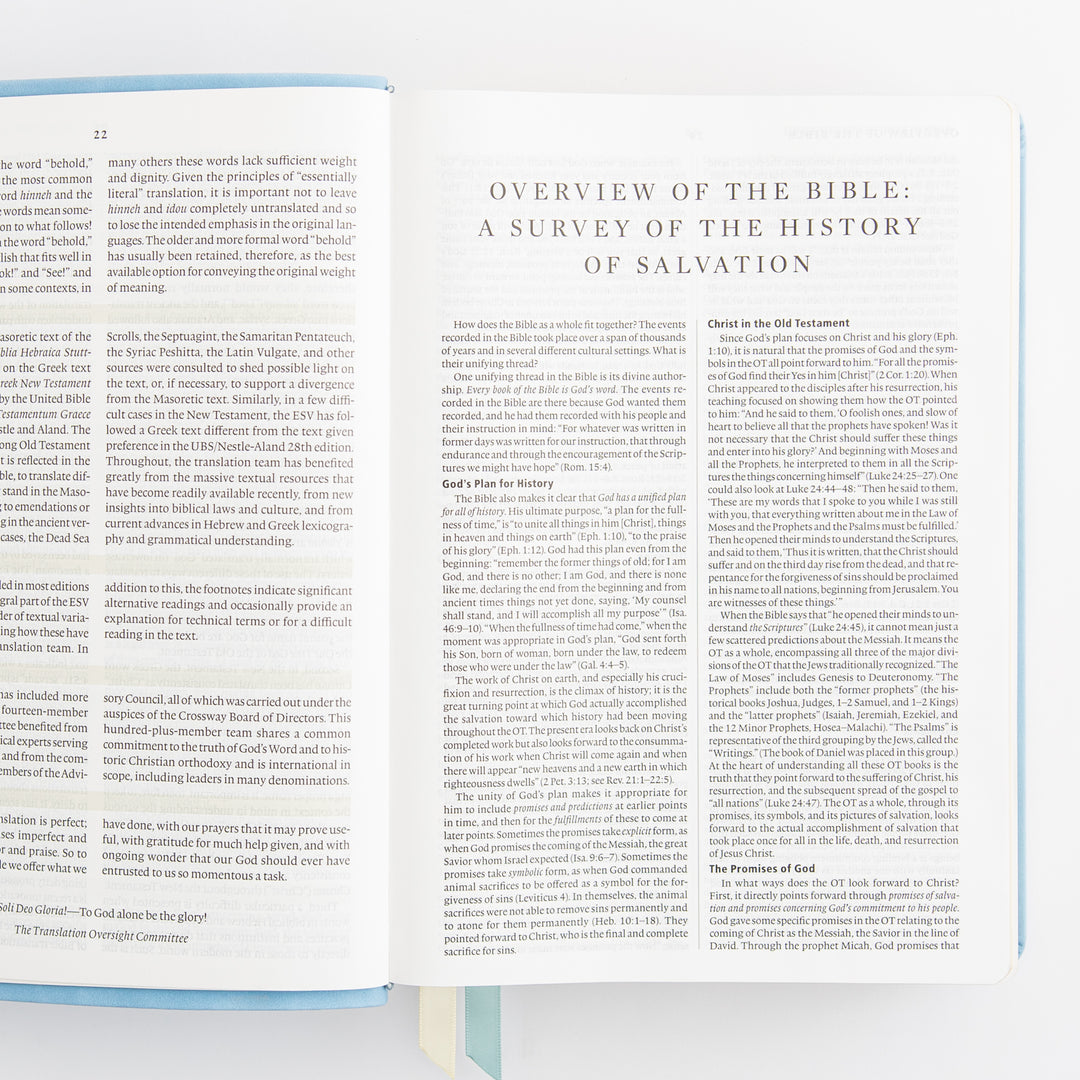 ESV Study Bible: Bethany Theme