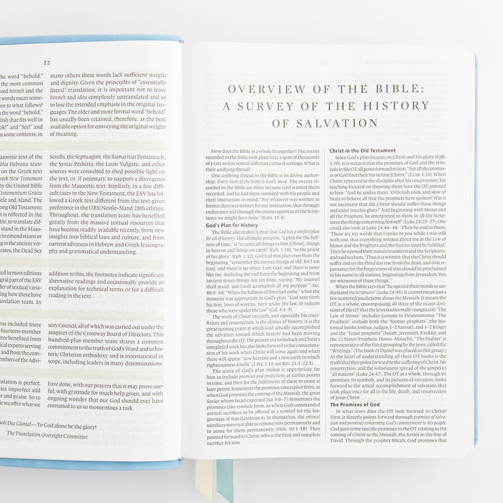 ESV Study Bible: Bethany Theme