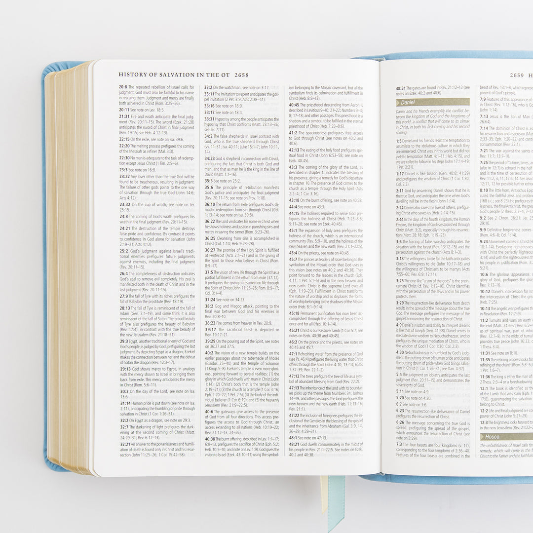 ESV Study Bible: Bethany Theme