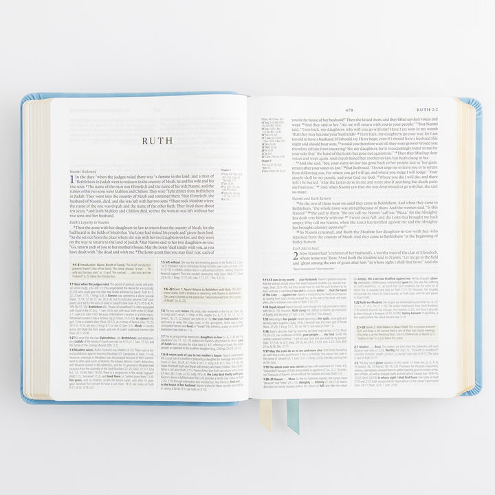 ESV Study Bible: Bethany Theme