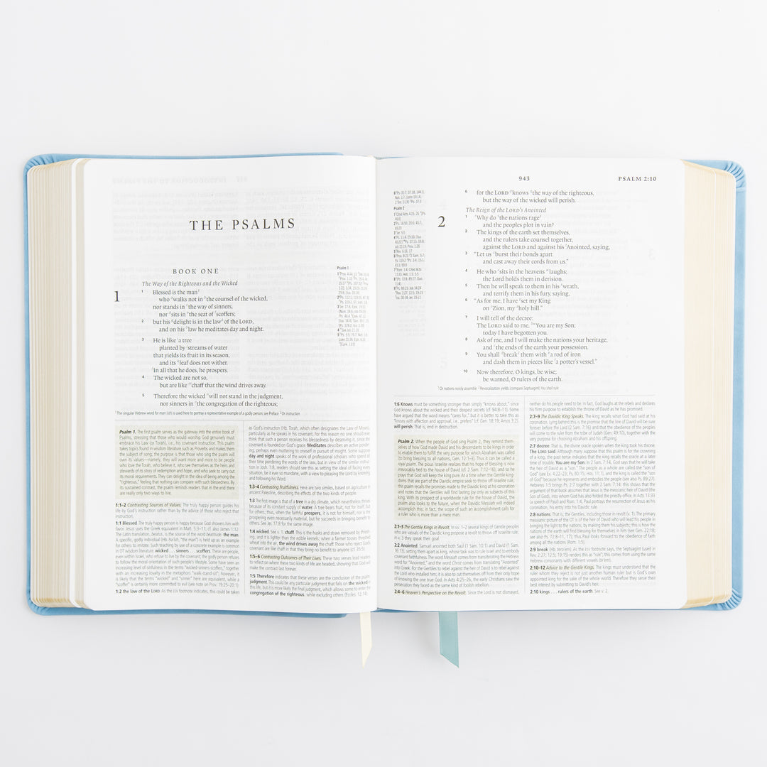 ESV Study Bible: Bethany Theme