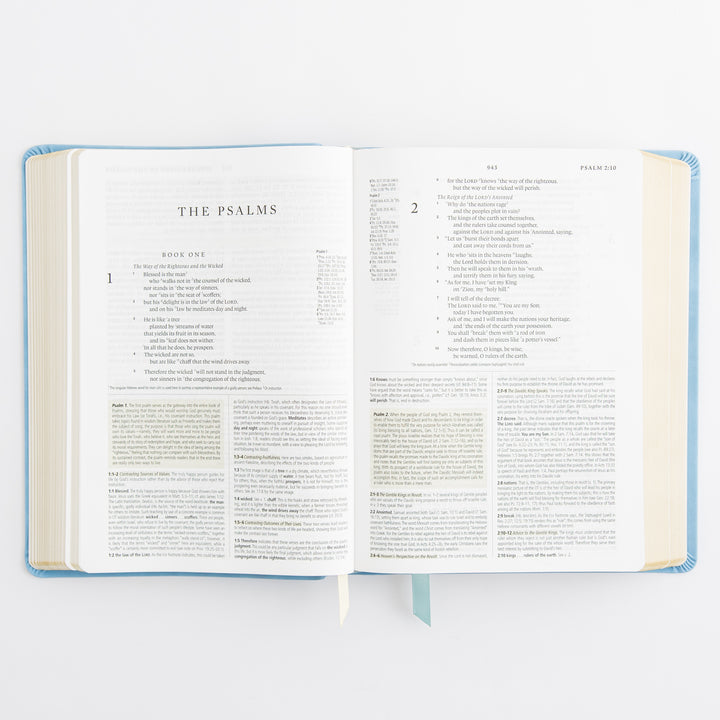 ESV Study Bible: Bethany Theme