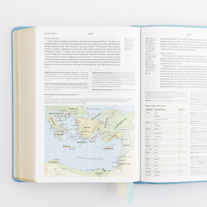ESV Study Bible: Bethany Theme