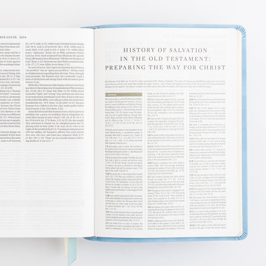 ESV Study Bible: Bethany Theme