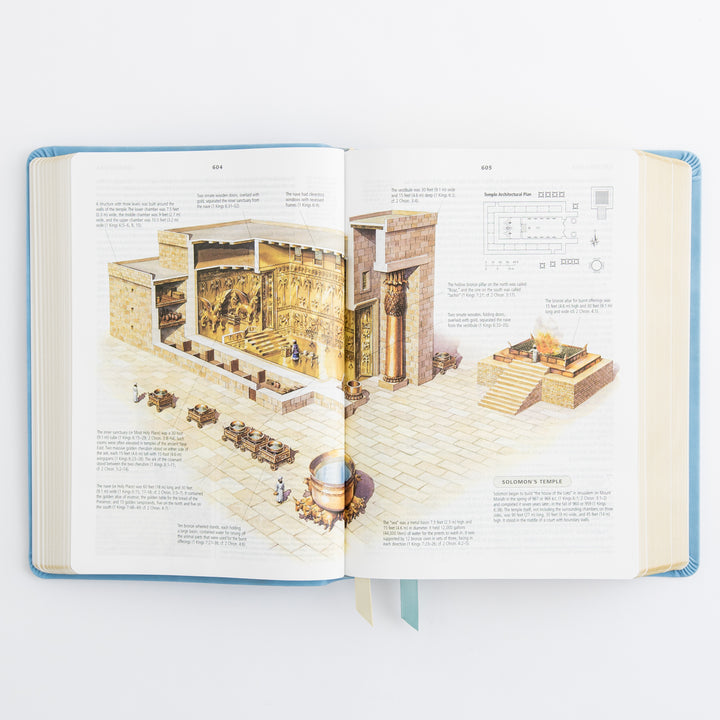 ESV Study Bible: Bethany Theme