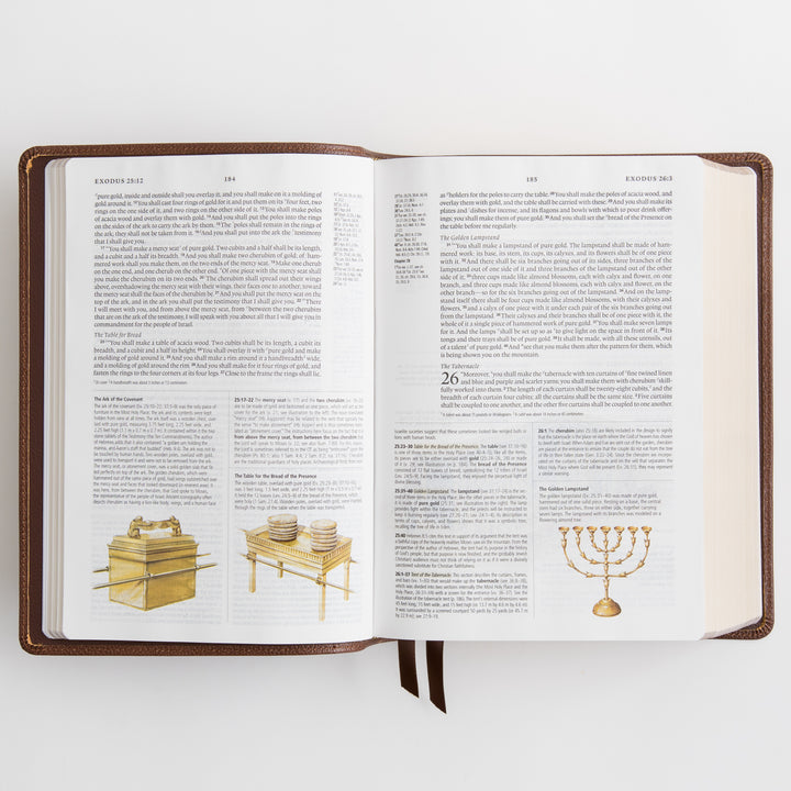 ESV Study Bible - Cowhide, Deep Brown