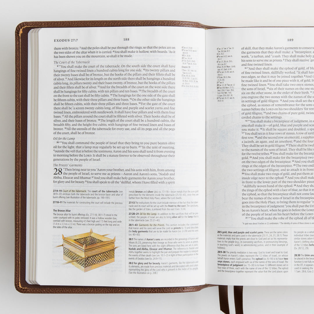 ESV Study Bible - Cowhide, Deep Brown
