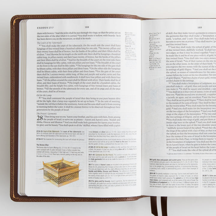 ESV Study Bible - Cowhide, Deep Brown