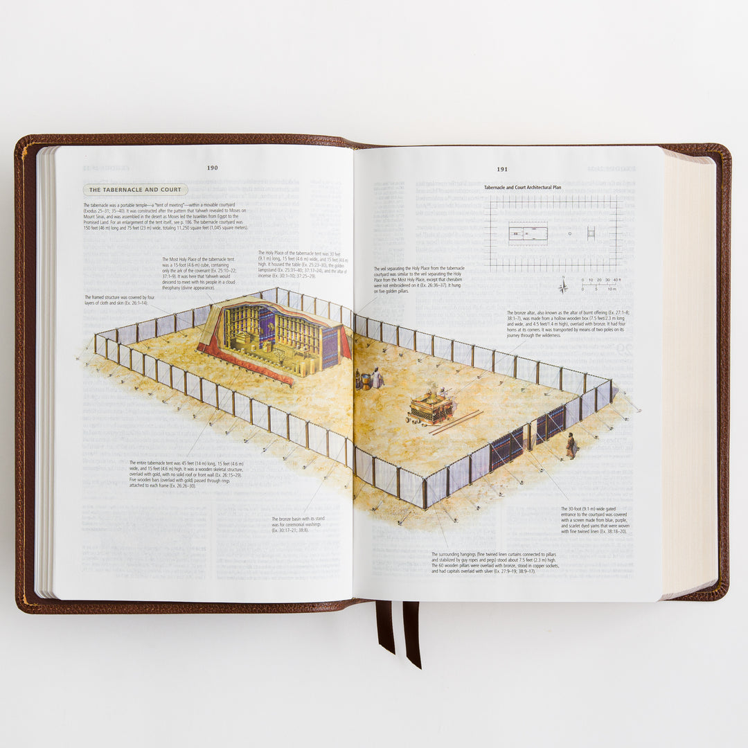ESV Study Bible - Cowhide, Deep Brown
