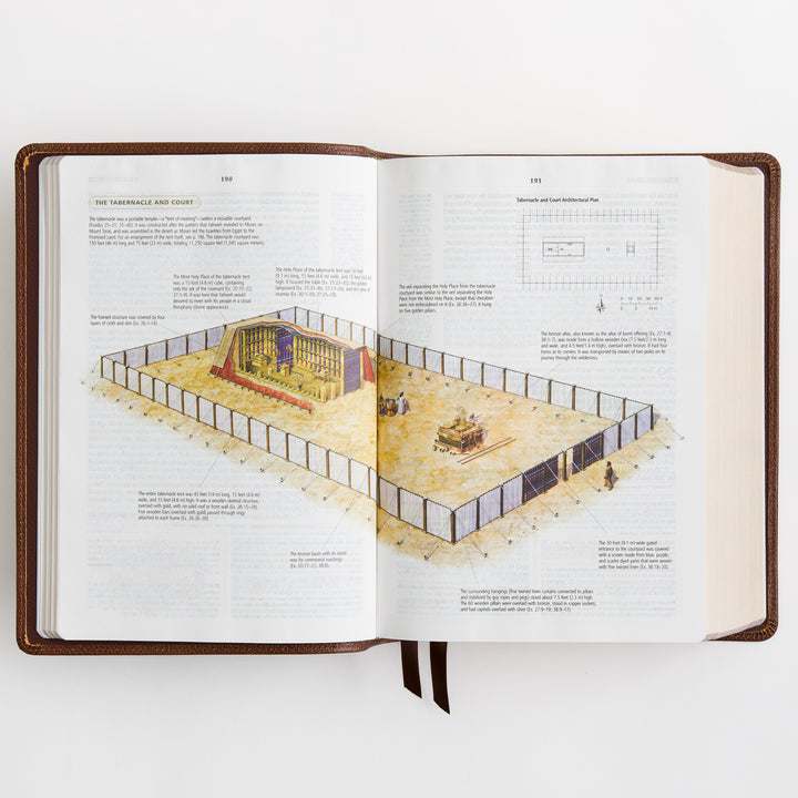 ESV Study Bible - Cowhide, Deep Brown