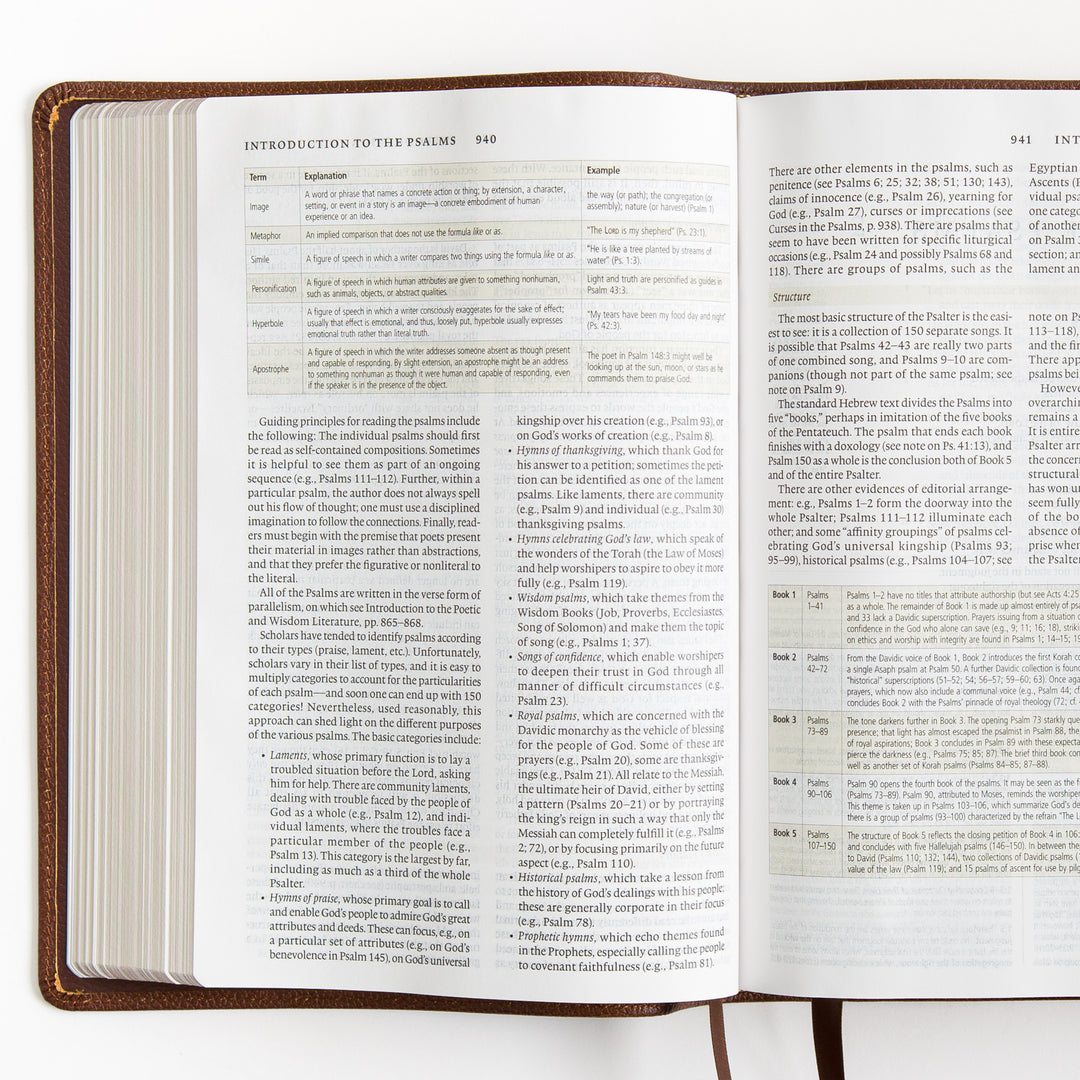 ESV Study Bible - Cowhide, Deep Brown