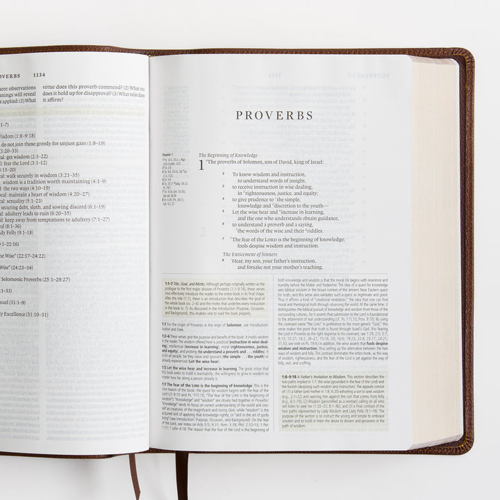 ESV Study Bible - Cowhide, Deep Brown