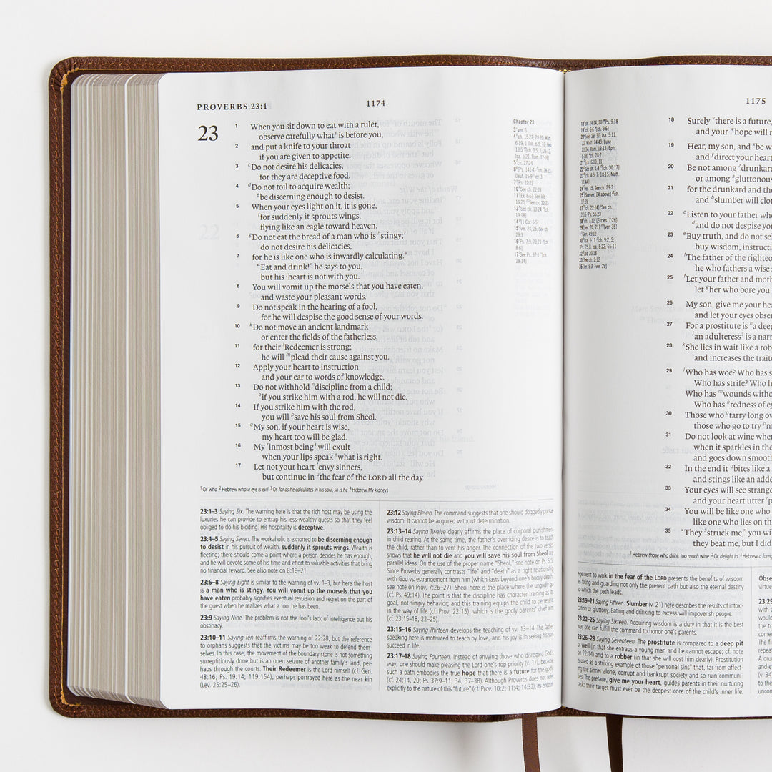 ESV Study Bible - Cowhide, Deep Brown