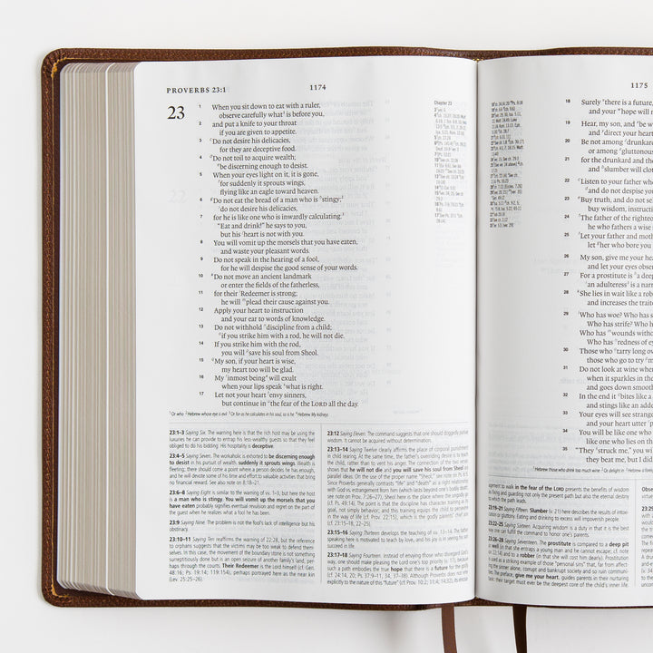 ESV Study Bible - Cowhide, Deep Brown